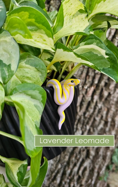 Lavender Lemonade Snake Pot Pal | Polymer Clay Plant Decoration