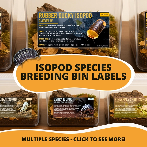 Isopod Bin Labels