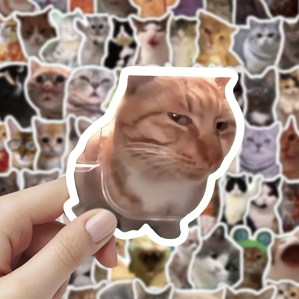 100 Cute Cat Stickers | Humorous and Sarcastic Designs, Ideal for Decorating Diaries, Laptops, and Projects, Made of Paper, Matte End