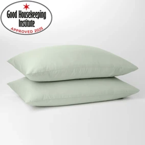 Sage - Pure Cotton Standard Pillowcase Pair