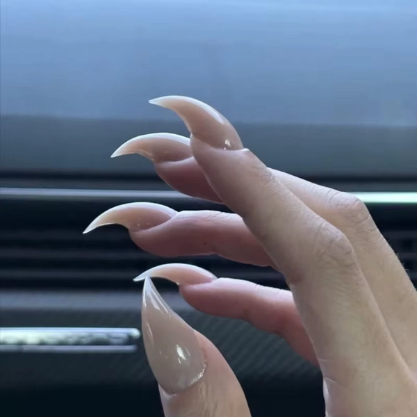 2025 Gothic Cat Claw Fake Nails 10-Piece Set