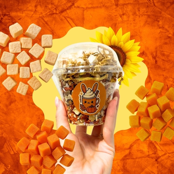 Zdravý zeleninový kelímek pro králíky a hlodavce PUMPKIN LATTÉ