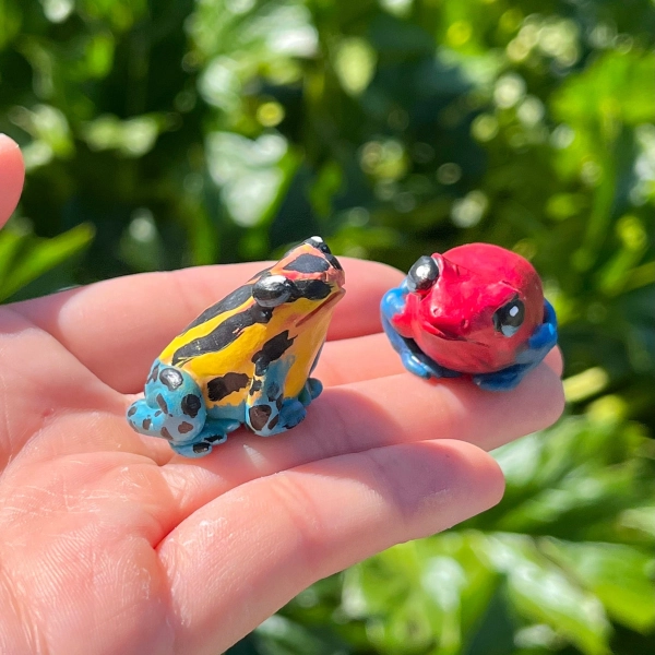 Handmade Polymer Clay Colorful Small Poison Dart Frog Figurines | Sculpted Cute Mini Pet Amphibian Statue Pocket Sized Collectible