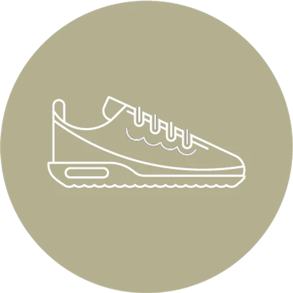 The Fly Cleaners