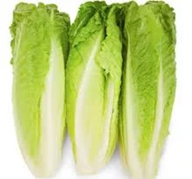 Birds Eye Romaine Lettuce
