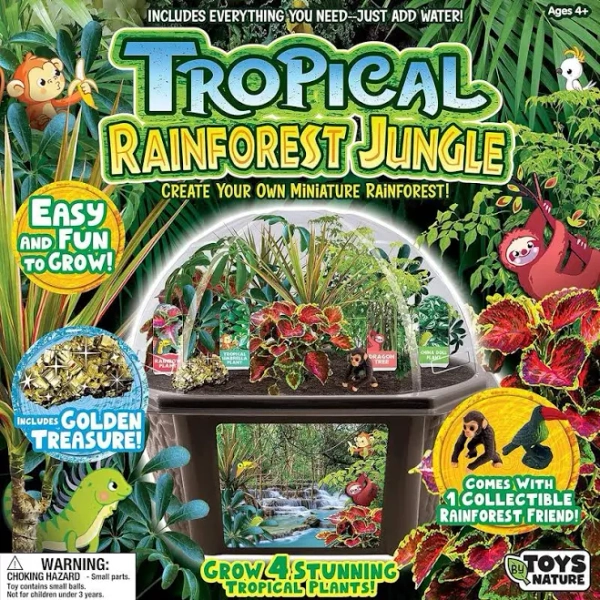 Biosphere Terrarium Tropical Rainforest Jungle