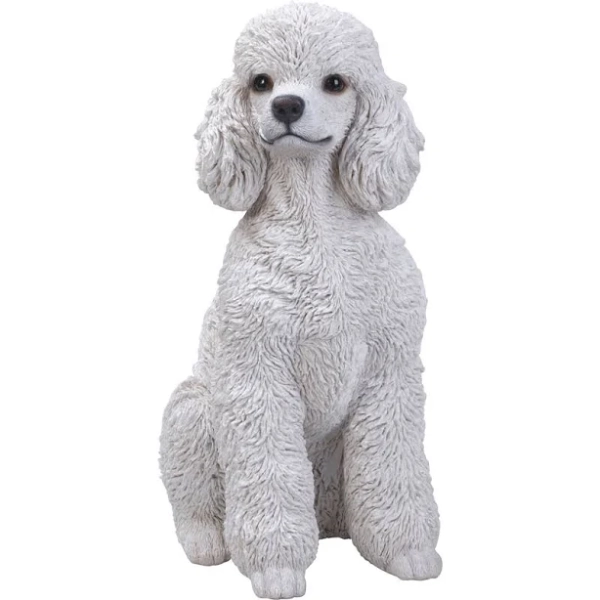 Hi-Line Gift Poodle Sitting