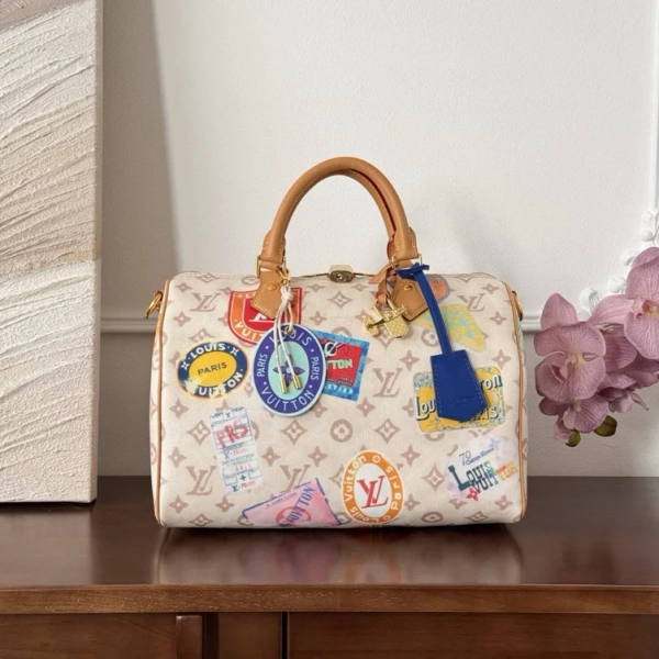 Louis Vuitton bag