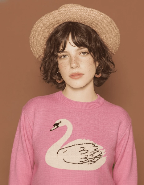 jersey cisne rosa - La casita de Wendy | Ropa Sostenible y Ética | Hecho en Europa