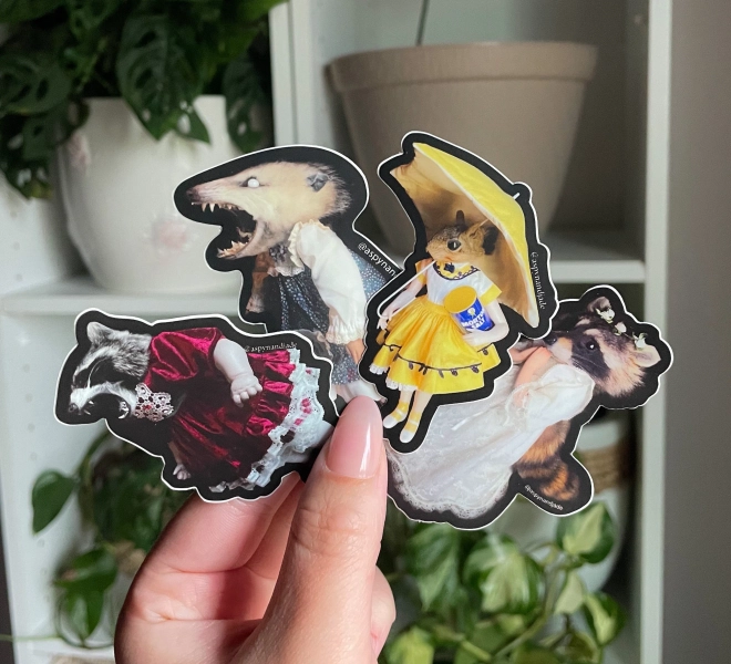 sticker BUNDLE of 4 | praying raccoon | angry opossum | oddity | raccoon sticker | oddities | waterproof sticker | weird stickers | funny