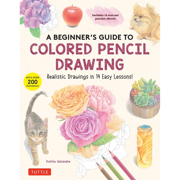 A Beginners Guide to Colored Pencil Drawing | Nexus vefverslun