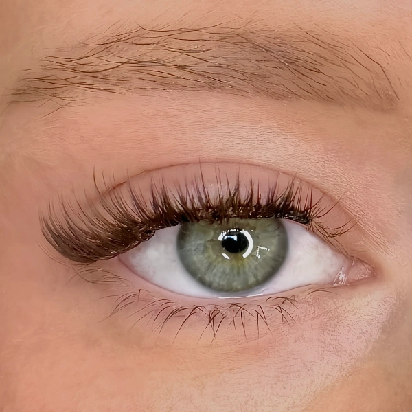 Louella Dark Brown | Magnetic Lash