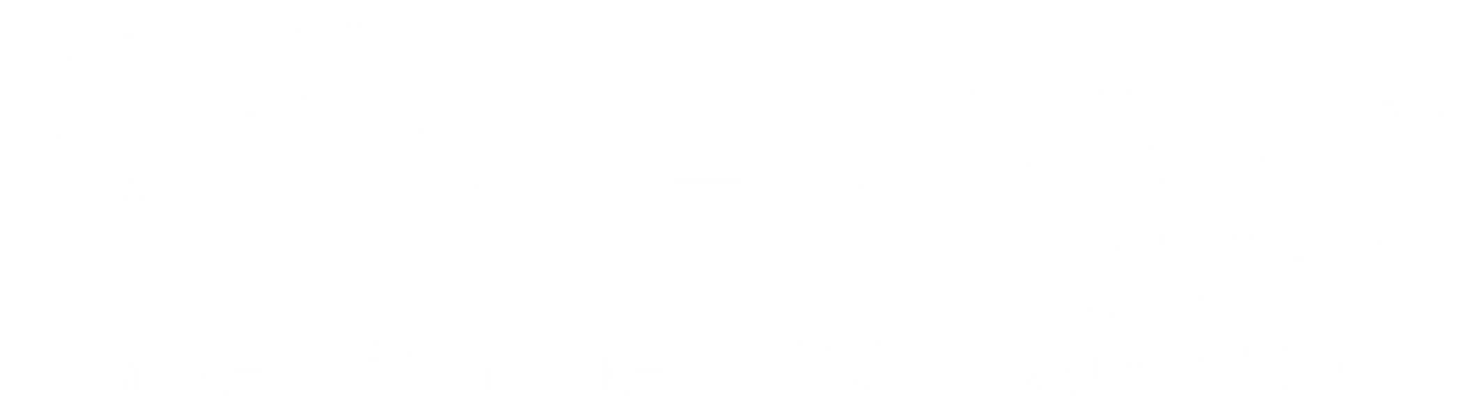 Six Flags Over Texas Gold Pass