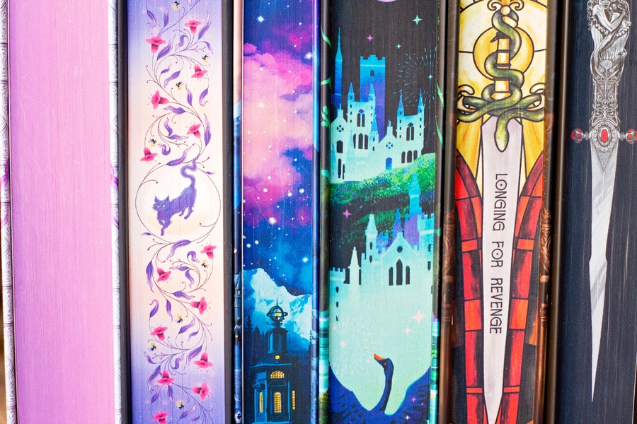 SPECIAL EDITION Blind Date With A Book Box