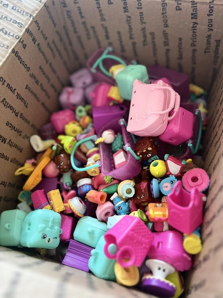 Shopkins (Read Description)