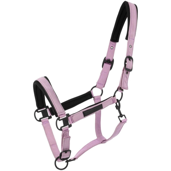 Licol EQUITHÈME Pearl - PADD - LICOLS SYNTHÉTIQUES - PADD