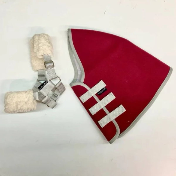 Hobby Horse Rug Set Red