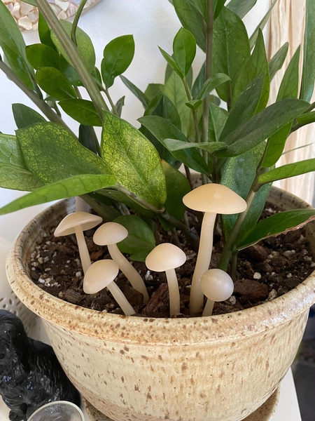Handmade Polymer Clay Mushroom Plant Picks for House Plants and Terrariums