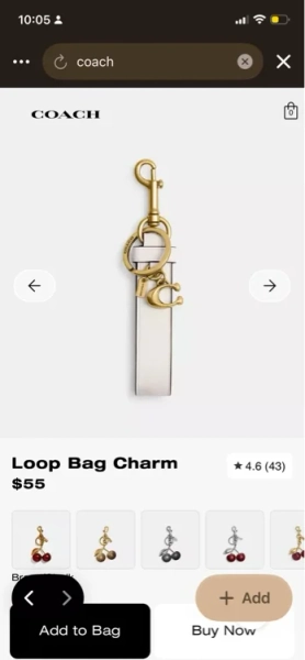 Loop Bag Charm