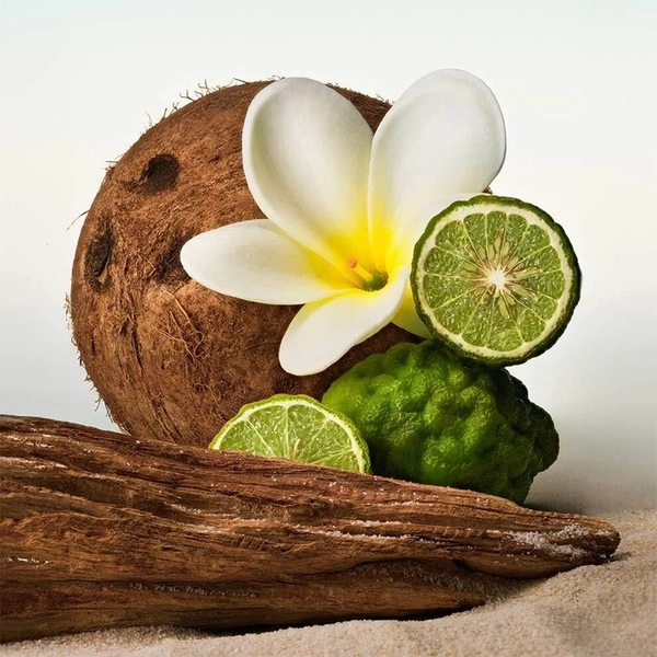 PHLUR Beach Skin Body Mist » online kaufen | NICHE BEAUTY