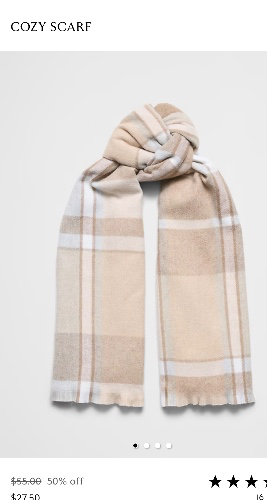 Cozy Scarf | Banana Republic Factory