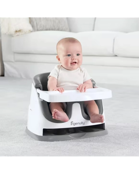 Ingenuity Baby Base 2-in-1 - Grey - One Size