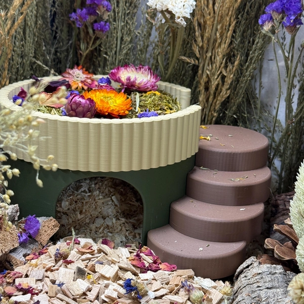 Hamster Multi Level Hide