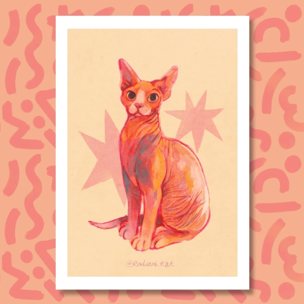 Peachy Pink Sphynx Cat - A4 Art Print