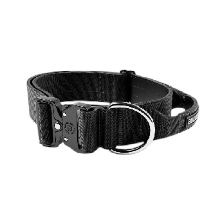 Collier de promenade (adulte)