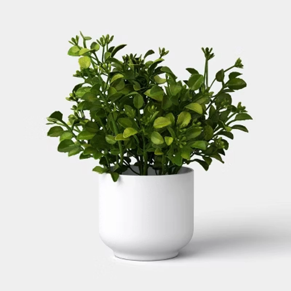 8" Boxwood Mini Arrangement - Room Essentials™