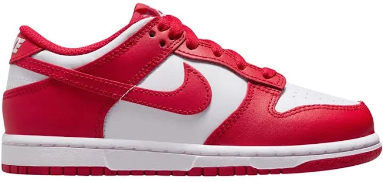 Nike Kids' Dunk Low