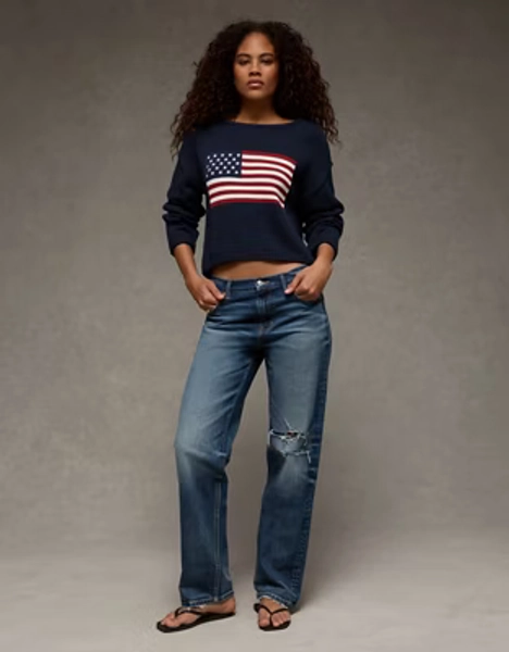 AE American Flag Graphic Sweater
