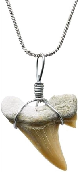Shark Tooth Necklace - Unisex Fossil Necklace with Shark Teeth - Ideal Shark Tooth Necklace for Men - Walmart.com