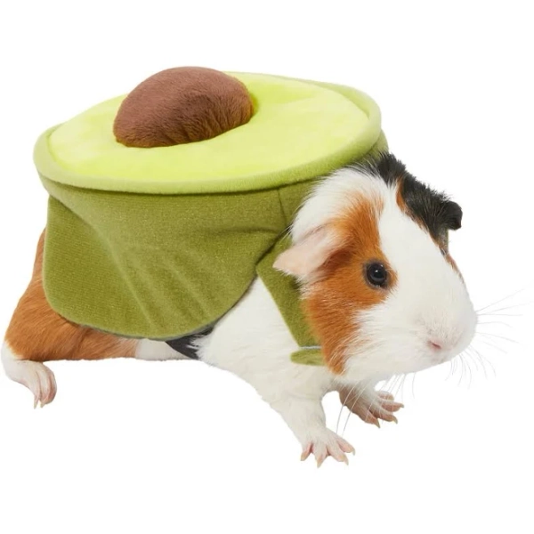 Frisco Avocado Guinea Pig Costume