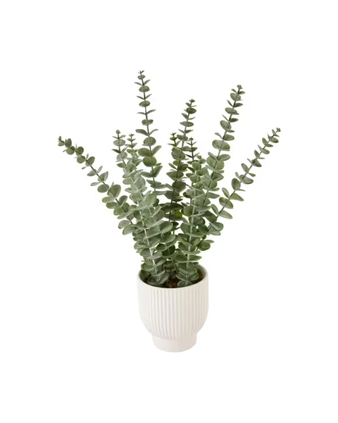 Artificial Eucalyptus in Pot - Assorted - One Size