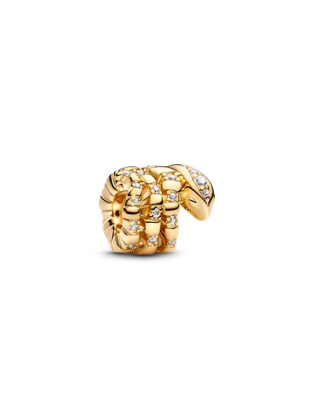 Curled Snake Charm
