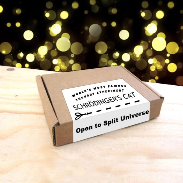 Schrödinger's Cat in a box | Science Gift, Physics, College, STEM, nerd, geek, student, teacher, fun, Surprise | Enamel Pin: 14K Gold Plated