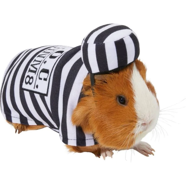 Frisco Prisoner Guinea Pig Costume