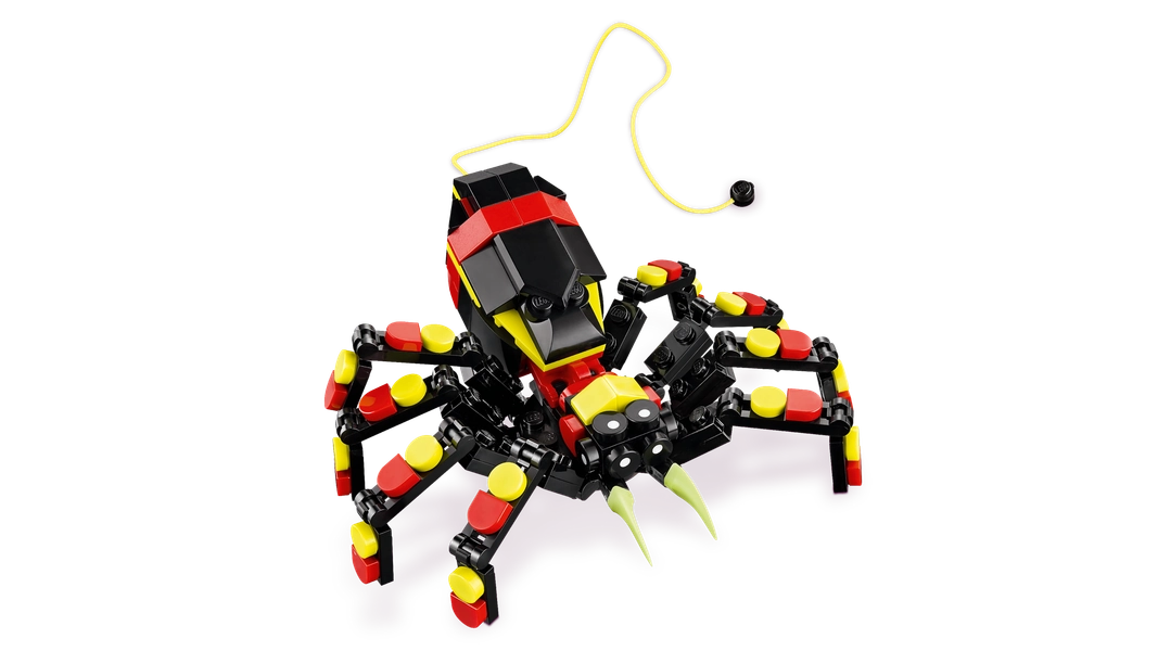 Wild Animals: Surprising Spider