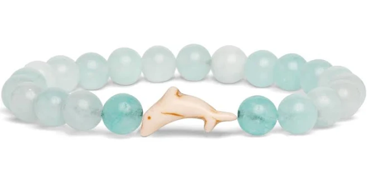 Fahlo Dolphin Tracking Bracelet