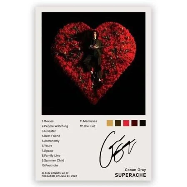 Superache Albums Poster Conan Gray Posters Music Canvas Wall Photo Print Art Home Decor Wall Art Fan Gift 1218inch unframed
