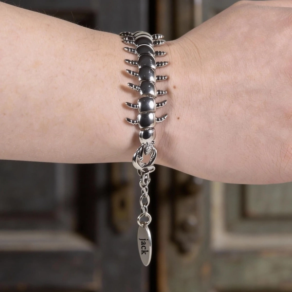 Stainless Steel Centipede Spine Bracelet, Personalized Name Bracelet, Y2K Goth Chain, Adjustable Lobster Clasp