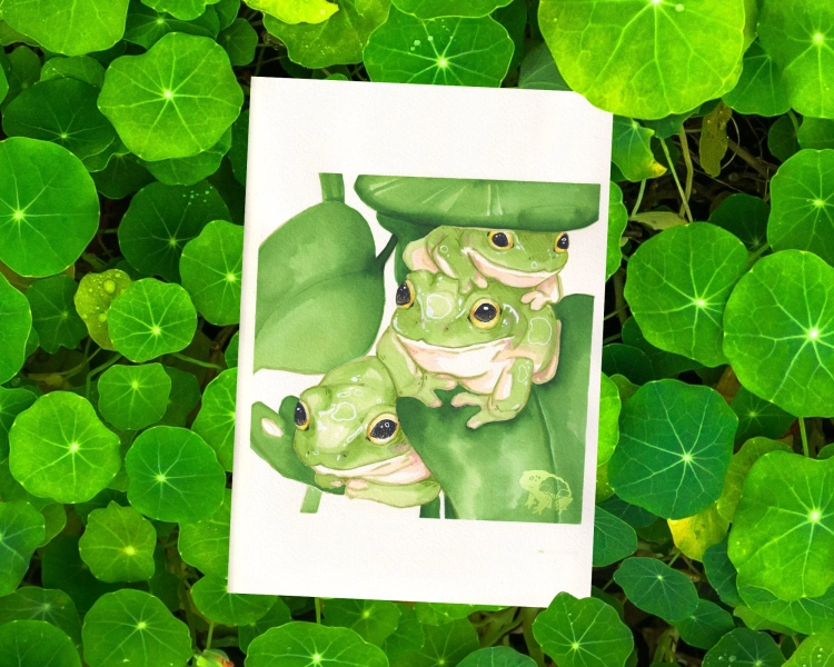 kero kero kero - 5x7" Ink Frog Art Print
