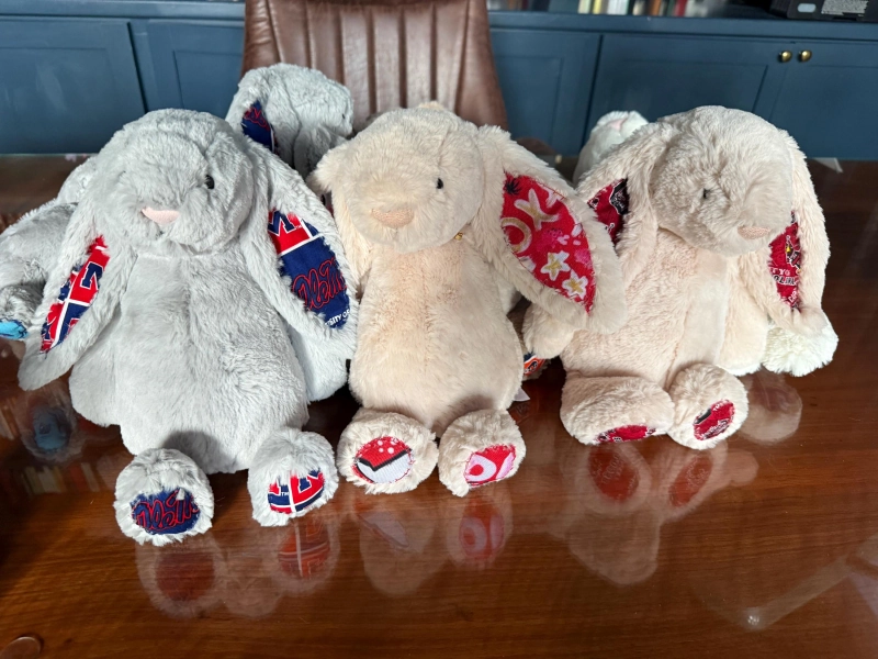 Personalized College Plush