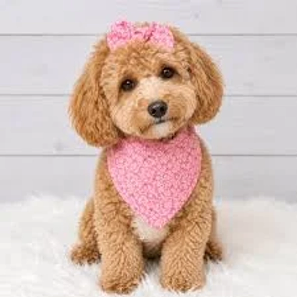 Pink Dog Bandana with Flowers