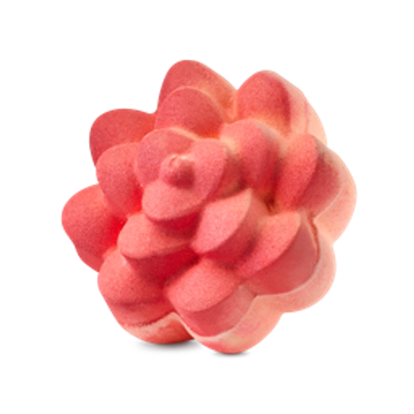 Comforter Rose