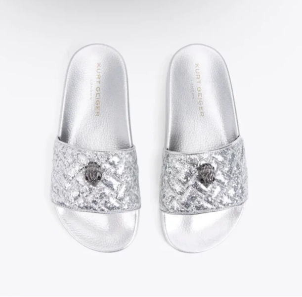 Meena Eagle Slide