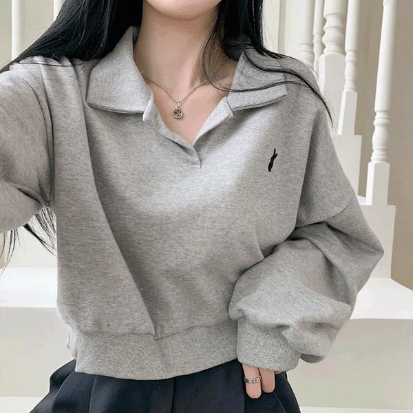 Vanning Crop Collar Sweatshirt