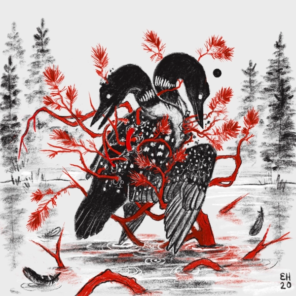 Extricate 8x8 Fine Art Print Loon Bird North Woods Dark Surreal Nature