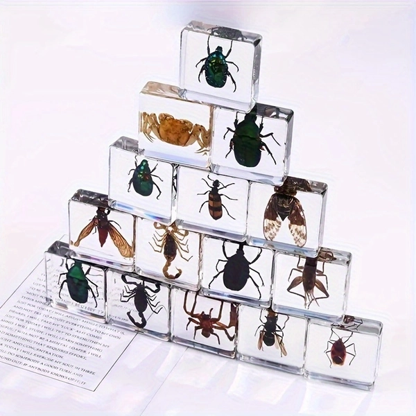 6PCS Mixed Transparent Simulated Amber Insect Specimens, Handheld Dropper Resin Insects Used As Teaching Aids, Collectibles, Gifts, Desktop Decorations, And Indoor Decorations In Bookstores (Simulated Resin Material Model)